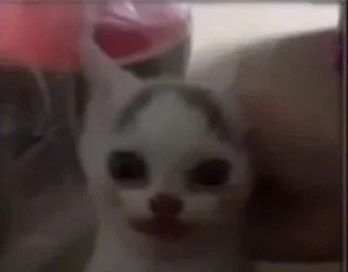 😐 emoji котыдлямеов Telegram sticker 9 of 29