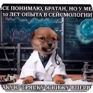 🐶 emoji БОЛЬШЕ ⇨ @CLOOBHUB MEMES TG МЕМЫ ТГ MARVEL МАРВЕЛ Telegram sticker 24 of 118