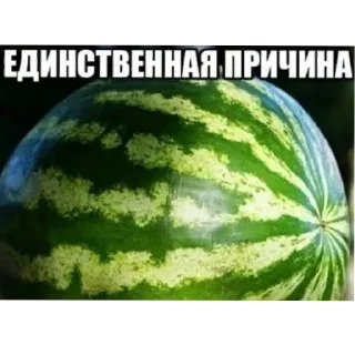 🍲 emoji БОЛЬШЕ ⇨ @CLOOBHUB MEMES TG МЕМЫ ТГ MARVEL МАРВЕЛ Telegram sticker 12 of 118
