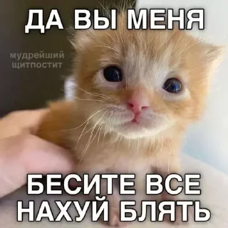 😡 emoji идите нахуй Telegram sticker 1 of 67
