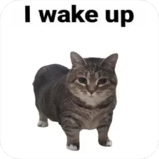 🆘 emoji MENTAL ILLINOIS Telegram sticker 15 of 60