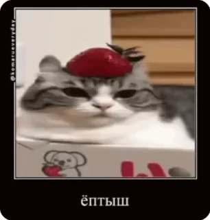 🤬 emoji Комары и ко Telegram sticker 10 of 50