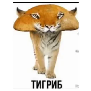 🍔 emoji Good stickers Telegram sticker 5 of 21
