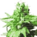🙂 emoji @Barsa5000ETH Диана умерла Telegram sticker 3 of 50