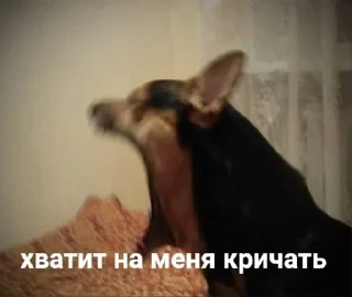 👺 emoji левые стики Telegram sticker 22 of 92