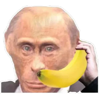 Sticker from monke