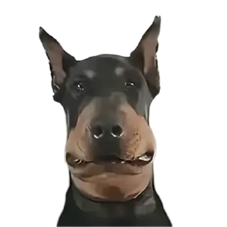 🌟 emoji Пися Telegram sticker 19 of 51
