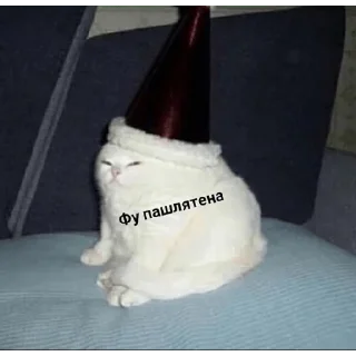 Sticker from |•Общаемся холопы•| 0.2