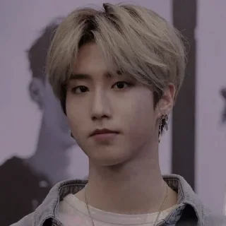 🌰 emoji Jisung Telegram sticker 12 of 80