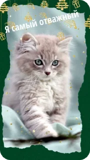 🙂 emoji C новым годом! @Cathouse_mrr Telegram sticker 11 of 26