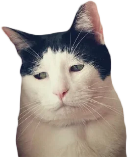 😞 emoji Chosen Ones Vol.2.1 Telegram sticker 7 of 68