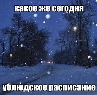Sticker from Литерали ми когда расписание