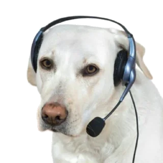 👩 emoji бля наххуй у меня @bedtrip Telegram sticker 15 of 26