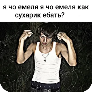 😎 emoji Щити щит Telegram sticker 9 of 34