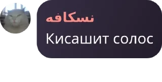 🥂 emoji Только У избранных Telegram sticker 17 of 20