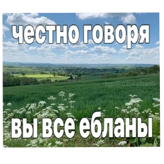 😐 emoji какащко Telegram sticker 15 of 81