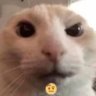 🤨 emoji БОЛЬШЕ ⇨ @FULLSITION Telegram sticker 18 of 92
