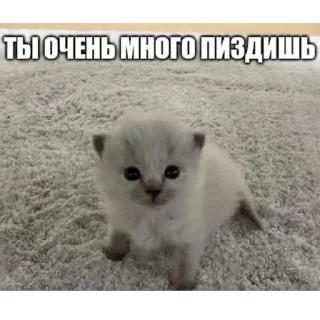 😞 emoji БОЛЬШЕ ⇨ @FULLSITION Telegram sticker 23 of 92