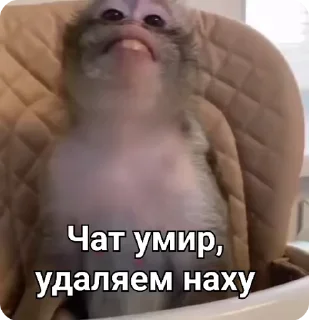 💀 emoji Обычный Пак @CoddyOrbit Telegram sticker 19 of 113