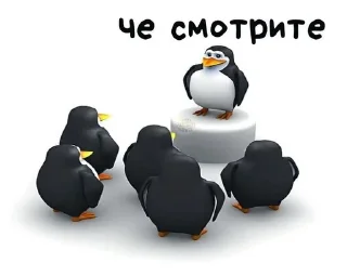 Sticker from пингвин