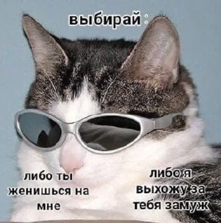 🌟 emoji любовные пикчи ^^ Telegram sticker 19 of 28