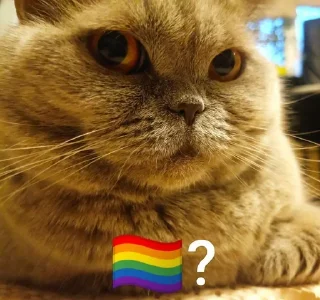 🤨 emoji Тофу-Кафка момент Telegram sticker 22 of 65