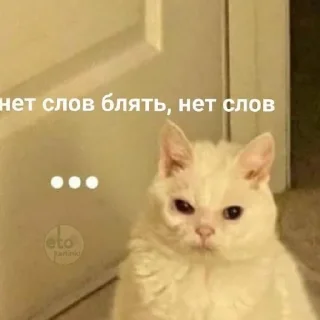 😡 emoji Могу позволить Telegram sticker 16 of 39