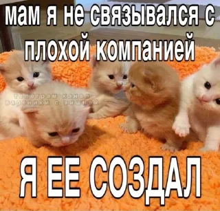 Sticker from Я НЕ СОБИРАЮСЬ..