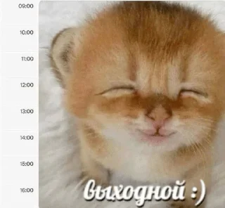 🤗 emoji blonde moment Telegram sticker 6 of 61