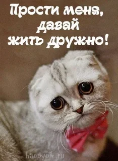 🌟 emoji Животные мемы Telegram sticker 14 of 79