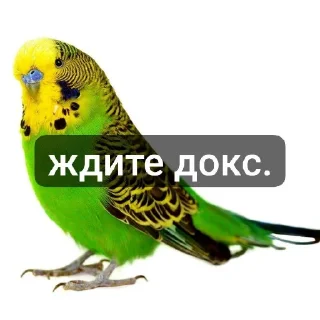 👍 emoji это ещк кере😱🕊️ Telegram sticker 9 of 116