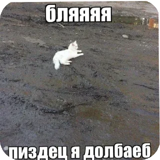 👍 emoji @CLOOBHUB <- БОЛЬШЕ Telegram sticker 7 of 115