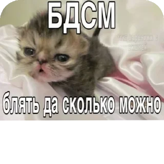 👍 emoji @CLOOBHUB <- БОЛЬШЕ Telegram sticker 19 of 115