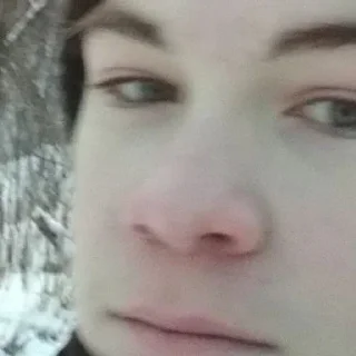 🐖 emoji минето морис и друзья 😃 Telegram sticker 12 of 46