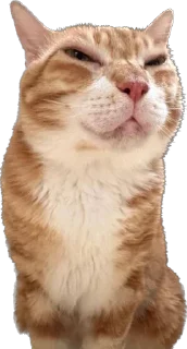 🧍‍♂️ emoji айфон ебёт Telegram sticker 24 of 105