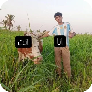 🏞 emoji @aiox9 (ابو فلاح) Telegram sticker 20 of 23