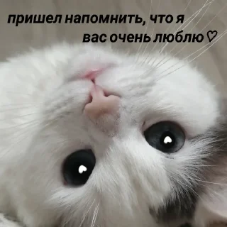 ❤️ emoji Kosmos Telegram sticker 13 of 73