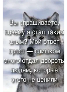 🐺 emoji поломаю твои левые движение Telegram sticker 18 of 29