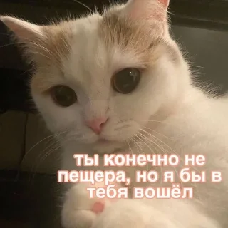 😏 emoji Для деда Telegram sticker 11 of 25
