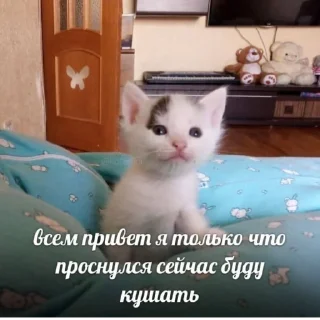🥱 emoji джидыксуп продакшен Telegram sticker 12 of 53