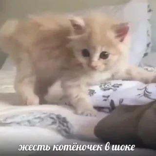 😳 emoji джидыксуп продакшен Telegram sticker 17 of 53