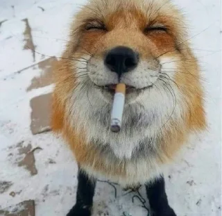 🚬 emoji YYYYYUUUUI Telegram sticker 10 of 76