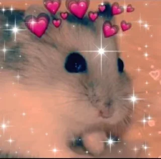 🐹 emoji YYYYYUUUUI Telegram sticker 8 of 76