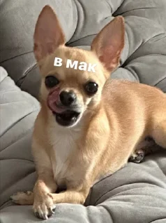 ☺️ emoji лайтулик Telegram sticker 10 of 46