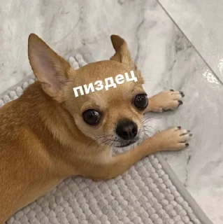 🫣 emoji лайтулик Telegram sticker 11 of 46