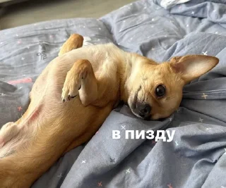😩 emoji лайтулик Telegram sticker 7 of 46