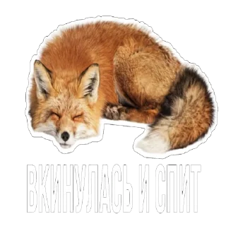 😕 emoji Лисички Telegram sticker 18 of 20