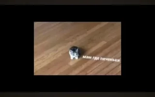 🌟 emoji Мать ебал Telegram sticker 7 of 78