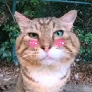 ❤ emoji носок by @flaps014 Telegram sticker 17 of 25