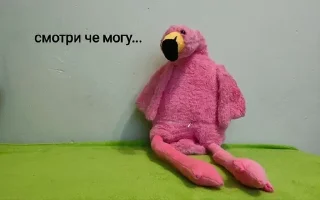 🌟 emoji Фламінго Telegram sticker 10 of 15